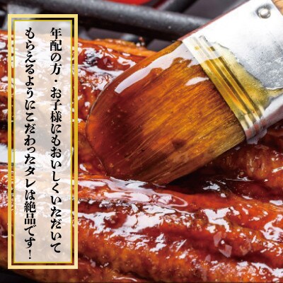 【土用の丑の日】厳選うなぎ 蒲焼き 800g(約160g×5尾)中国産 先行予約 020C220d