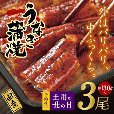 【土用の丑の日】国産うなぎ 約130g×3尾 秘伝のたれ 蒲焼き 先行予約 099H2647d