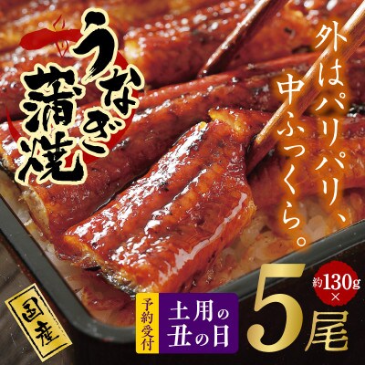 【土用の丑の日】国産うなぎ 約130g×5尾 秘伝のたれ 蒲焼き 先行予約 099H2649d
