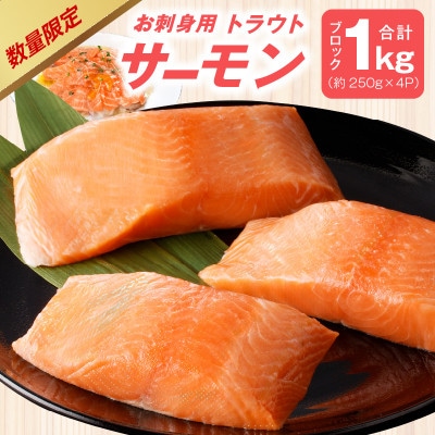 お刺身用 サーモン 1kg ブロック 小分け(3P～4P) G1859