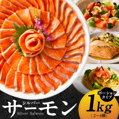 【訳あり】生食用 サーモン 1kg ポーション 小分け 2-4柵 サイズ不揃い 010B1620