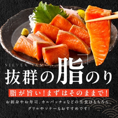 【大満足】生食用 サーモン 2kg ポーション 4-8柵 訳あり サイズ不揃い 015B402