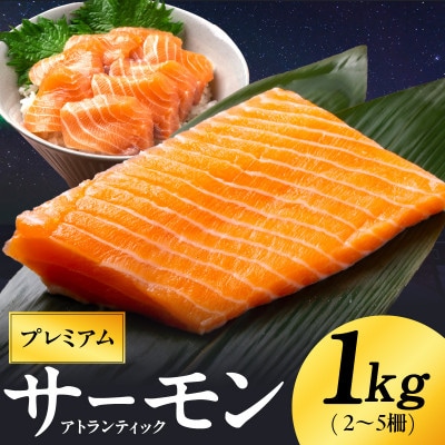 ノルウェー産 プレミアム アトランティックサーモン 1kg 訳あり サイズ不揃い  G1890