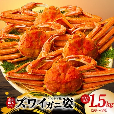 バルダイ種 ズワイガニ姿 1.5kg(2～5尾) ボイル済み  訳あり サイズ不揃い G2788