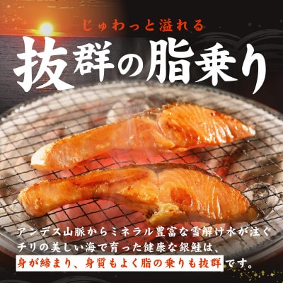 【TVで紹介】銀鮭 切り身 4kg 26-36切れ 訳あり サイズ不揃い G2997