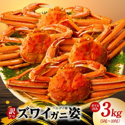 バルダイ種 ズワイガニ姿 3kg(5～10尾)ボイル済み  訳あり サイズ不揃い G3183