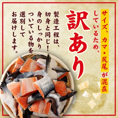 訳あり 銀鮭(カマ 尻尾)切り落とし 4kg 【小分け パック 圧倒的企業努力】 kgp0030-1