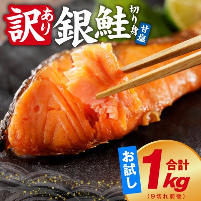 銀鮭 切り身 1kg 9切れ前後 お試し TVで紹介 訳あり サイズ不揃い kgp0125