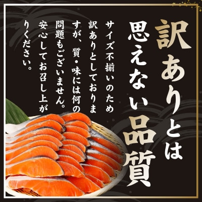 銀鮭 切り身 1kg 9切れ前後 お試し TVで紹介 訳あり サイズ不揃い kgp0125