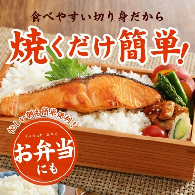 銀鮭 切り身 1kg 9切れ前後 お試し TVで紹介 訳あり サイズ不揃い kgp0125