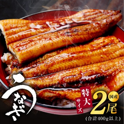 【特大サイズ2尾】国産うなぎ 400g以上【特製タレ付】 炭火焼き kgp0022-1