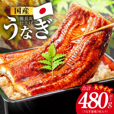 【特別規格】国産うなぎ蒲焼 480g以上(大サイズ3尾) kgp0130