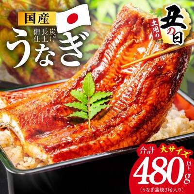 【土用の丑の日】国産うなぎ蒲焼 480g以上(大サイズ3尾) 特別規格 kgp0130d