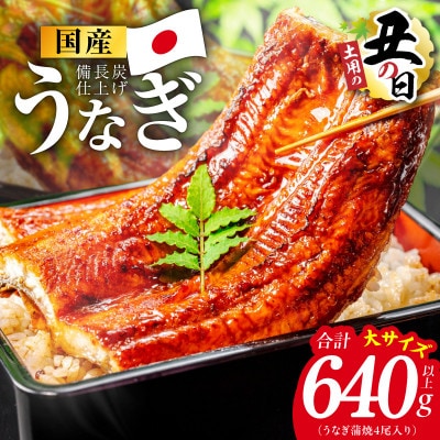 【土用の丑の日】国産うなぎ蒲焼 640g以上(大サイズ4尾) 特別規格 kgp0131d