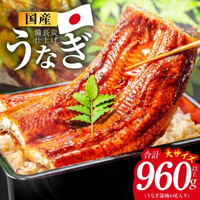 【特別規格】国産うなぎ蒲焼 960g以上(大サイズ6尾) kgp0133