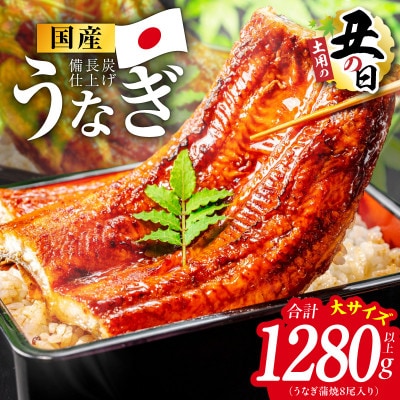 【土用の丑の日】国産うなぎ蒲焼 1280g以上(大サイズ8尾) 特別規格 kgp0134d
