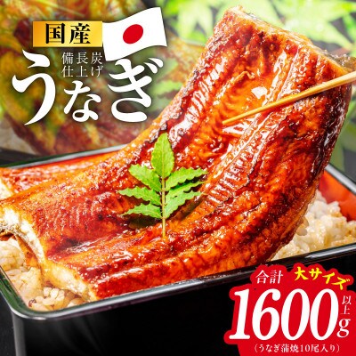 【特別規格】国産うなぎ蒲焼 1600g以上(大サイズ10尾) kgp0135