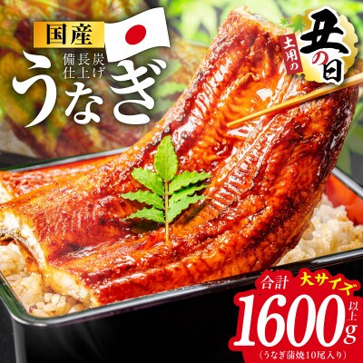 【土用の丑の日】国産うなぎ蒲焼 1600g以上(大サイズ10尾) 特別規格 kgp0135d