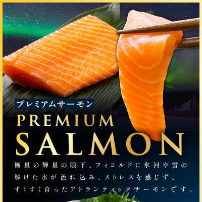【毎月定期便】ノルウェー産 プレミアム アトランティックサーモン 1kg 全2回 kgpZ006