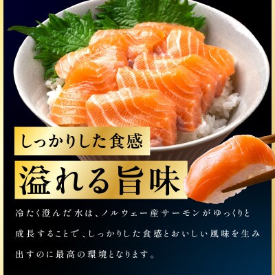 【毎月定期便】ノルウェー産 プレミアム アトランティックサーモン 1kg 全2回 kgpZ006