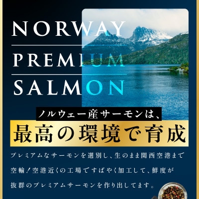 【毎月定期便】ノルウェー産 プレミアム アトランティックサーモン 1kg 全2回 kgpZ006