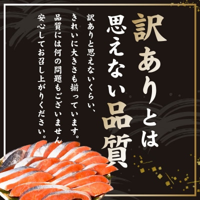 【毎月定期便】厚切り 銀鮭 切り身 2kg 14切れ前後 TVで紹介 訳あり 全2回 kgpZ008