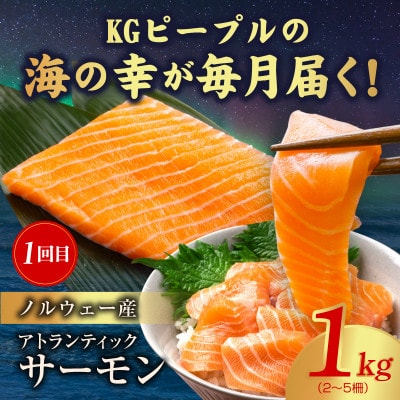 【毎月定期便】海鮮食べ比べ 総量6kg以上 サーモン ブラックタイガー 銀鱈 銀鮭 鰹全5回