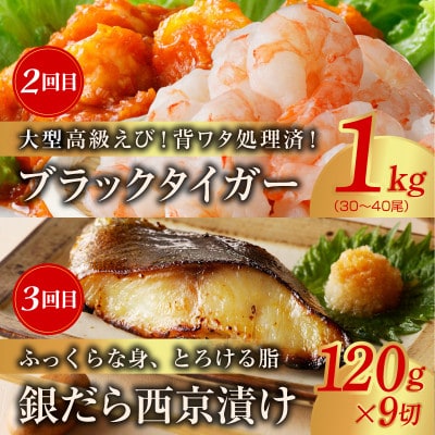 【毎月定期便】海鮮食べ比べ 総量6kg以上 サーモン ブラックタイガー 銀鱈 銀鮭 鰹全5回