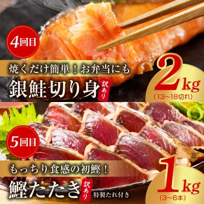 【毎月定期便】海鮮食べ比べ 総量6kg以上 サーモン ブラックタイガー 銀鱈 銀鮭 鰹全5回
