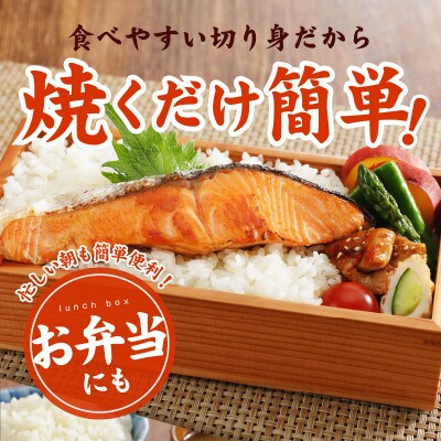 【毎月定期便】熟成 銀鮭 切り身 辛口塩味 1.5kg(約13切れ前後)規格外 簡単調理全6回