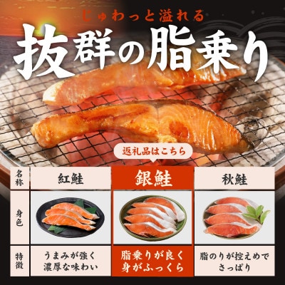 【3ヵ月毎定期便】銀鮭 切り身 3kg(約27切れ) 訳あり 甘塩 分けて届く定期便 全2回
