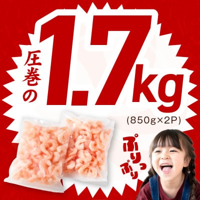 【毎月定期便】むきえび 定期便 1.7kg 5Lサイズ 下処理不要 小分け全12回