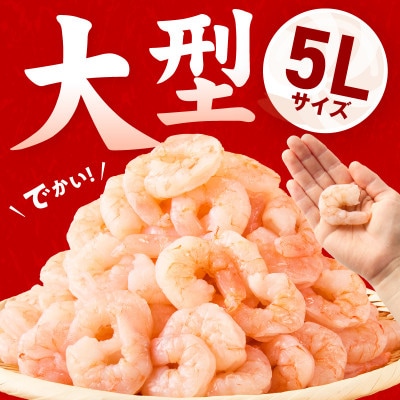 【毎月定期便】むきえび 定期便 1.7kg 5Lサイズ 下処理不要 小分け全12回
