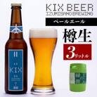 【ビールの縁側】KIX BEER 樽生ペールエール 3リットル(専用ポンプ付き)099H886