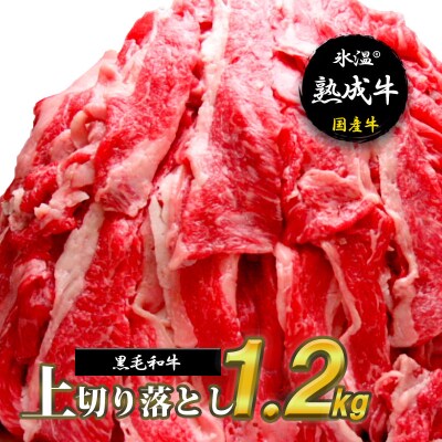 【氷温熟成牛】上切り落とし1.2kg【黒毛和牛】 020C071
