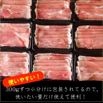 氷温(R)熟成豚　国産豚ももスライス2.7kg　010B631