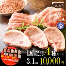 氷温(R)熟成豚　国産豚4種セット3.1kg　010B635 | ふるさと納税のお礼品