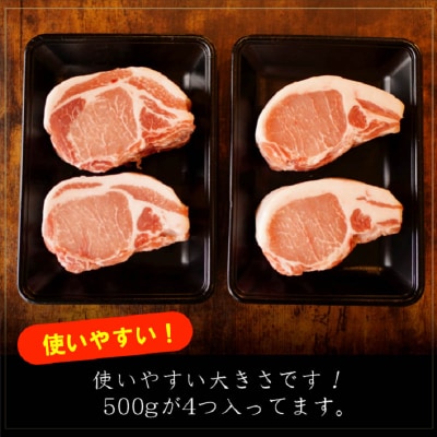 氷温(R)熟成豚 国産豚ロースブロック2kg(500g×4) 010B641