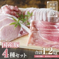 【9月30日受付終了】国産 豚肉 4種セット 1.2kg 小分け 氷温熟成 005A349