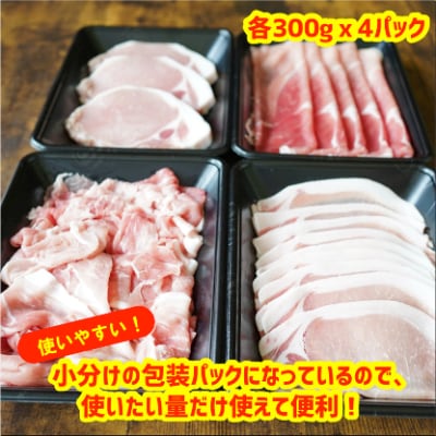 【9月30日受付終了】国産 豚肉 4種セット 1.2kg 小分け 氷温熟成 005A349