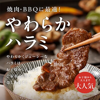 やわらかハラミ 1.5kg  特製旨タレ漬け 味付き 訳あり(不揃い) 010B1253