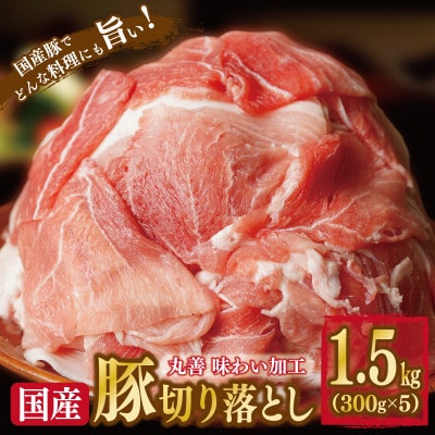 【丸善味わい加工】国産 豚肉 訳あり 切り落とし 1.5kg(300g×5) 099H2240