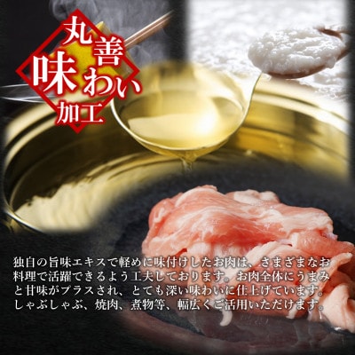 【丸善味わい加工】国産 豚肉 訳あり 切り落とし 1.5kg(300g×5) 099H2240