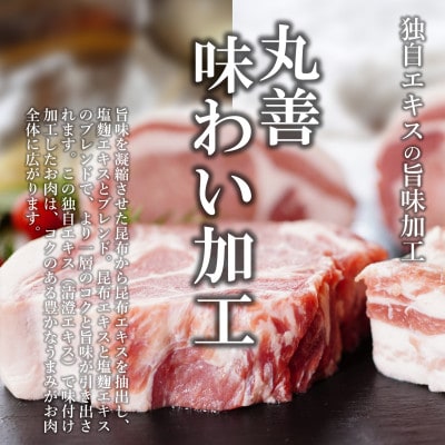 【丸善味わい加工】国産 豚肉 訳あり 切り落とし 4kg(500g×8) 099H2241