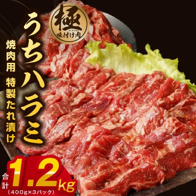 【丸善特製ダレ】希少部位 牛肉 うちハラミ 1.2kg(400g×3) 010B1348