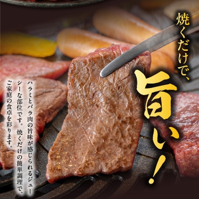 【丸善特製ダレ】希少部位 牛肉 うちハラミ 1.2kg(400g×3) 010B1348