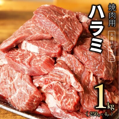 【丸善味わい加工】牛肉 ハラミ 1kg(250g×4) 010B1347