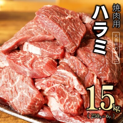 【丸善味わい加工】牛肉 ハラミ 1.5kg(250g×6) 099H2443