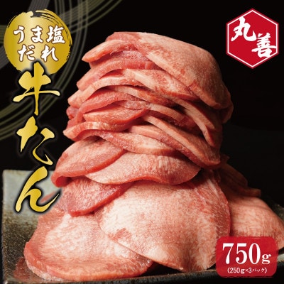 【丸善旨塩ダレ】牛たん 750g(250g×3) 099H2445