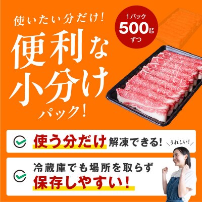 【訳あり】黒毛和牛 4等級 切り落とし スライス 1kg(500g×2)すき焼き 099H2548